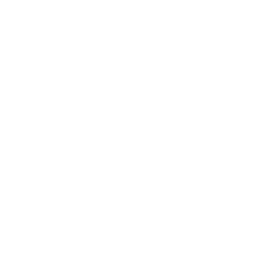 Beispiel-Logo 1