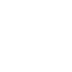 Beispiel-Logo 1