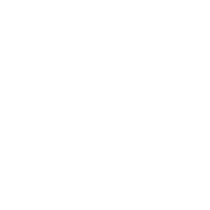 Beispiel-Logo 1
