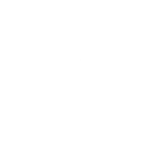 Beispiel-Logo 1
