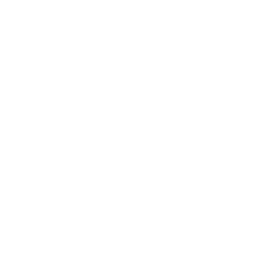 Flamingo Pictures