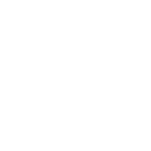 Neyroo