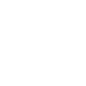 smartregie
